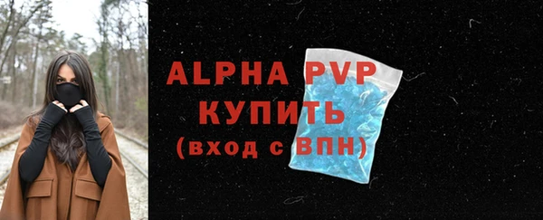 apvp Богородицк